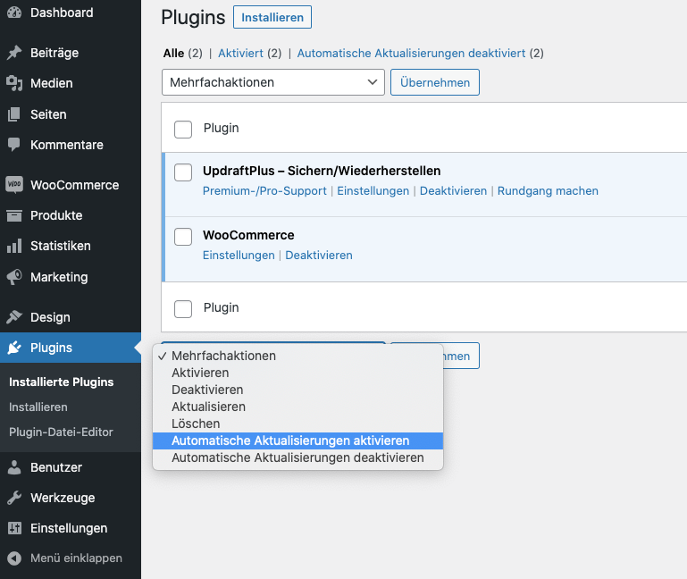 Automatische Aktualisierung von Plugins