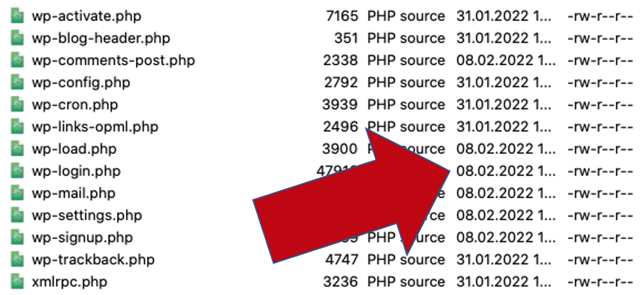 FileZilla Dateimanager Zeitstempel Anzeigeoptionen